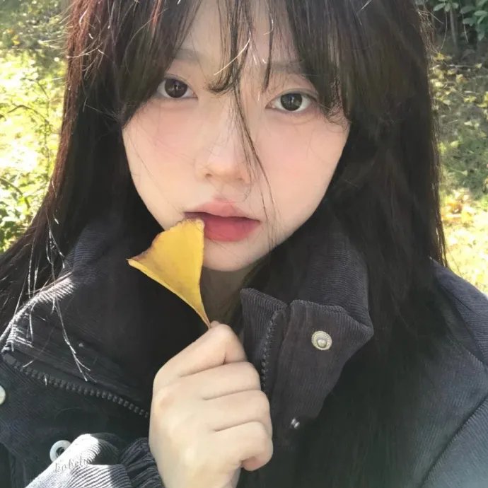 理查德的东西